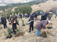 Το Γυμνάσιο «ΔΕΛΑΣΑΛ» συμβάλλει στην αναδάσωση της πόλης μας